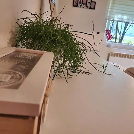 Sleep And Drive Free Parking