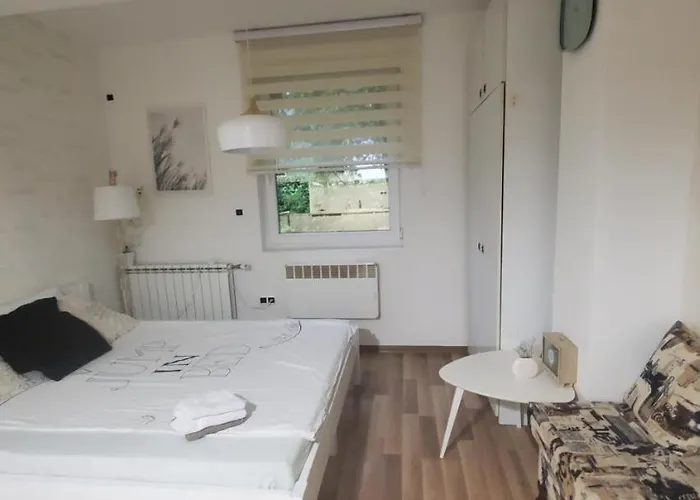 Sleep And Drive Free Parking Daire